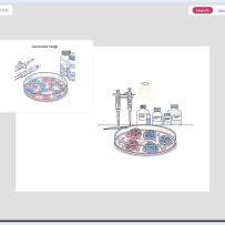 Mind the Graph：论文里的科学示意图，不必再用 PowerPoint 一块块拼