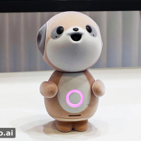 夏普Poketomo开启预购：口袋里的AI猫鼬，记得你今天喝过哪家咖啡