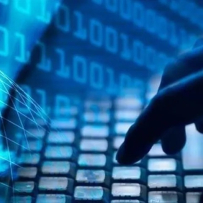 纳米传感器让机器人“摸”到世界？Digid 把触觉塞进微米级空间